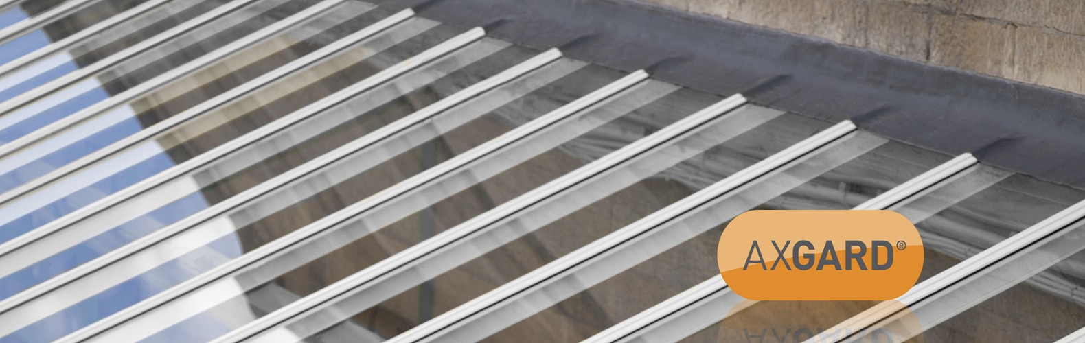 ClearAmber shop 1 ClearAmber shop -ClearAmber shop 22